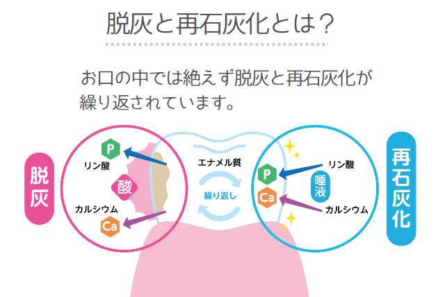 脱灰と再石灰化とは？