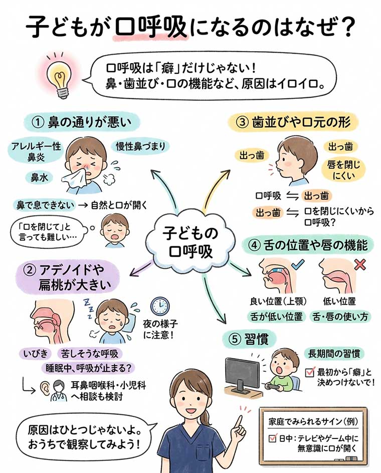 子どもが口呼吸になるのはなぜ？の図解