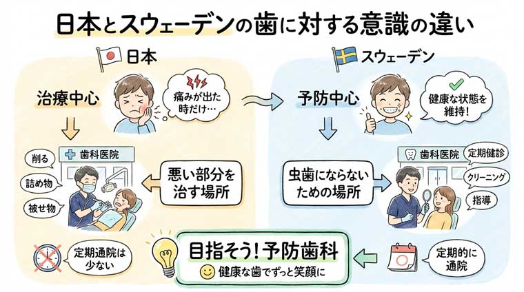 日本とスウェーデンの歯に対する意識の違いの図解