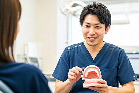 歯の模型で説明する歯科医師